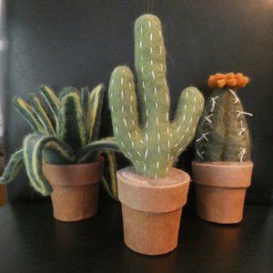 Cactus home decor made out of wool
